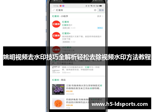 姚明视频去水印技巧全解析轻松去除视频水印方法教程