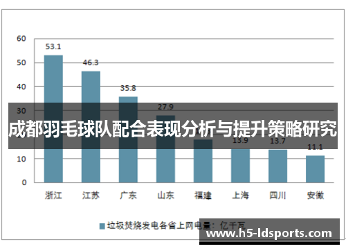 成都羽毛球队配合表现分析与提升策略研究