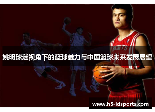姚明球迷视角下的篮球魅力与中国篮球未来发展展望