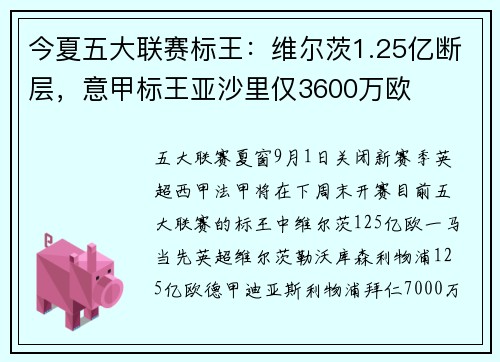 今夏五大联赛标王：维尔茨1.25亿断层，意甲标王亚沙里仅3600万欧